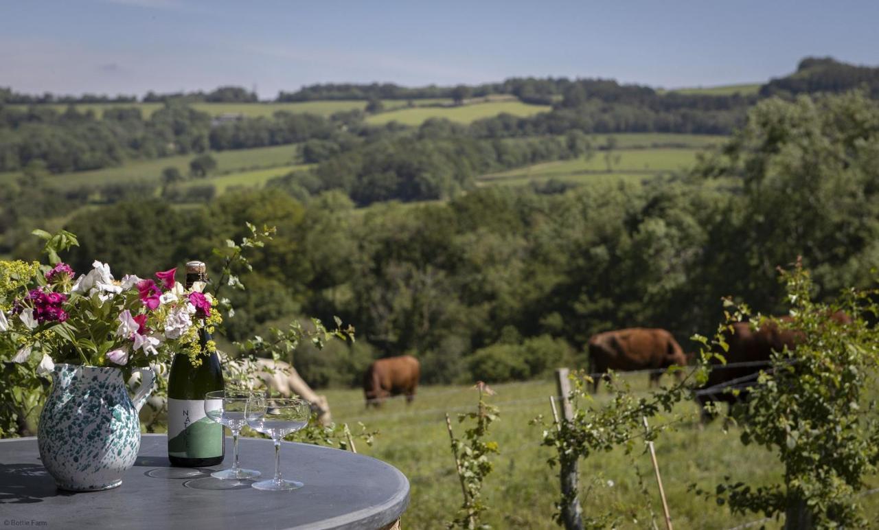 Meadow Barn Villa Axminster Luaran gambar